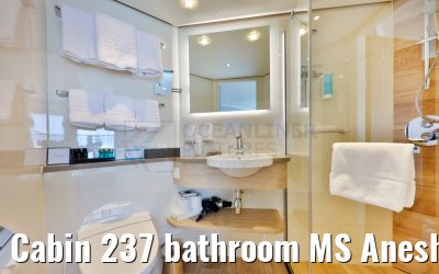 Cabin 237 bathroom MS Anesha
