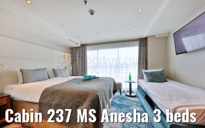 Cabin 237 MS Anesha 3 beds
