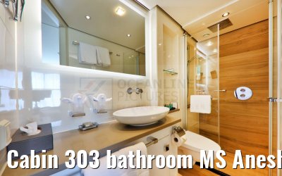 Cabin 303 bathroom MS Anesha
