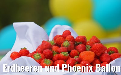 Erdbeeren und Phoenix Ballons Taufe Anesha 26.06.2015