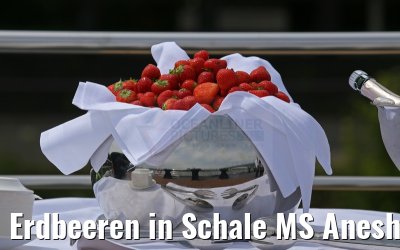 Erdbeeren in Schale MS Anesha Taufe 26.06.2015