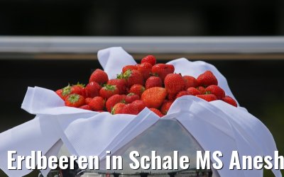 Erdbeeren in Schale MS Anesha Taufe 26.06.2015