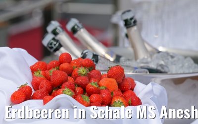 Erdbeeren in Schale MS Anesha Taufe 26.06.2015
