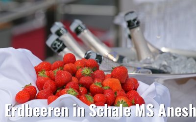 Erdbeeren in Schale MS Anesha Taufe 26.06.2015