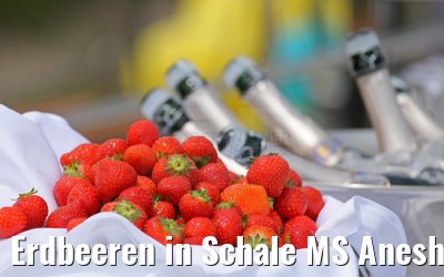Erdbeeren in Schale MS Anesha Taufe 26.06.2015