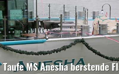 Taufe MS Anesha berstende Flasche 26.06.2015