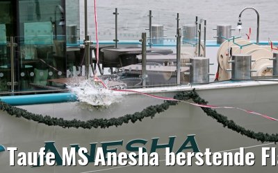 Taufe MS Anesha berstende Flasche 26.06.2015