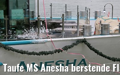 Taufe MS Anesha berstende Flasche 26.06.2015