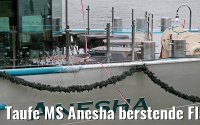 Taufe MS Anesha berstende Flasche 26.06.2015