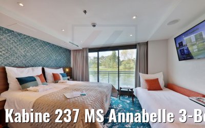 Kabine 237 MS Annabelle 3-Bett offen