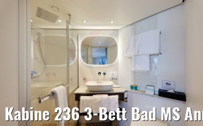 Kabine 236 3-Bett Bad MS Annika
