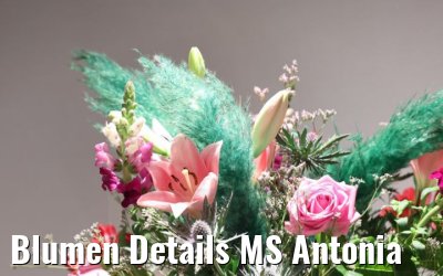 Blumen Details MS Antonia
