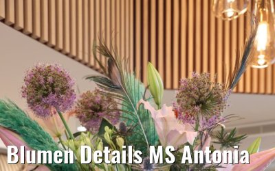 Blumen Details MS Antonia