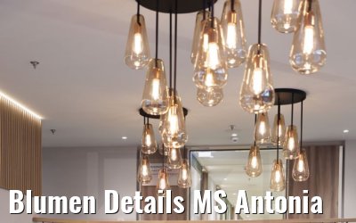 Blumen Details MS Antonia