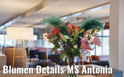 Blumen Details MS Antonia
