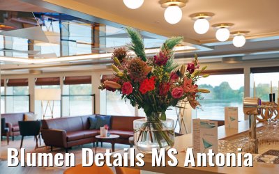 Blumen Details MS Antonia