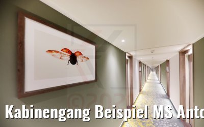 Kabinengang Beispiel MS Antonia