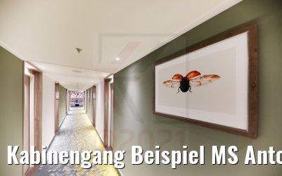 Kabinengang Beispiel MS Antonia