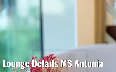 Lounge Details MS Antonia