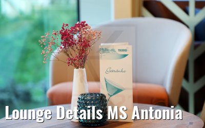 Lounge Details MS Antonia