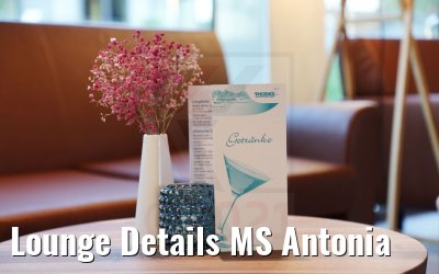 Lounge Details MS Antonia