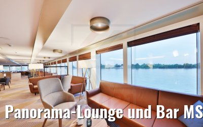 Panorama-Lounge und Bar MS Antonia