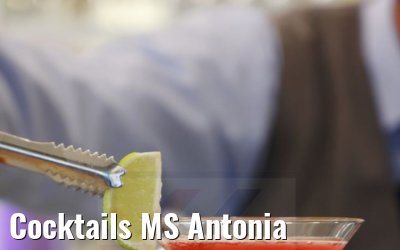 Cocktails MS Antonia