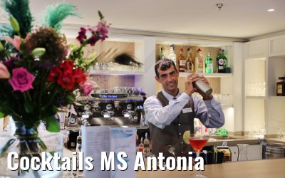 Cocktails MS Antonia