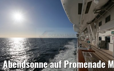 Abendsonne auf Promenade MS Artania