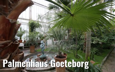 Palmenhaus Goeteborg