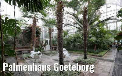 Palmenhaus Goeteborg
