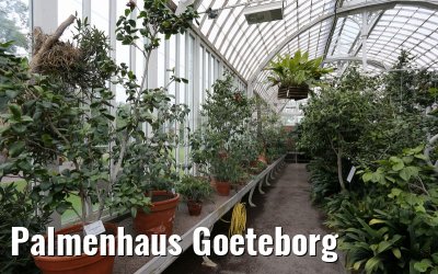 Palmenhaus Goeteborg