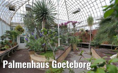 Palmenhaus Goeteborg