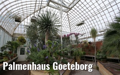 Palmenhaus Goeteborg