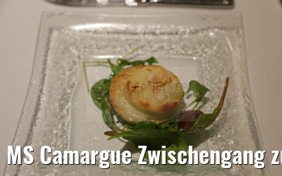 MS Camargue Zwischengang zu 3