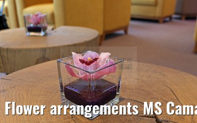 Flower arrangements MS Camargue