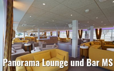 Panorama Lounge und Bar MS Camargue