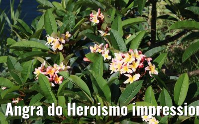 Angra do Heroismo impressions