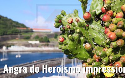 Angra do Heroismo impressions
