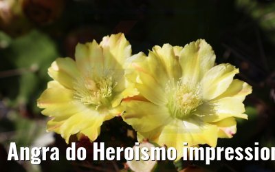 Angra do Heroismo impressions