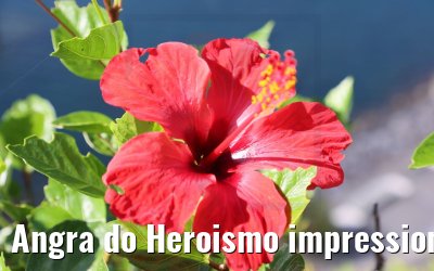 Angra do Heroismo impressions