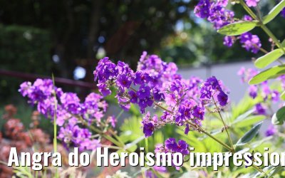 Angra do Heroismo impressions