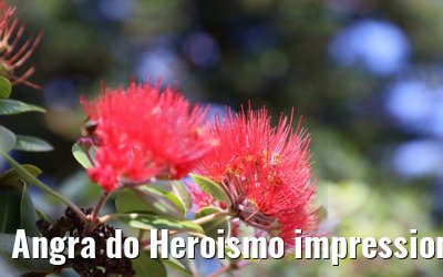 Angra do Heroismo impressions