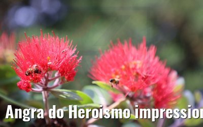 Angra do Heroismo impressions