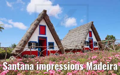 Santana impressions Madeira