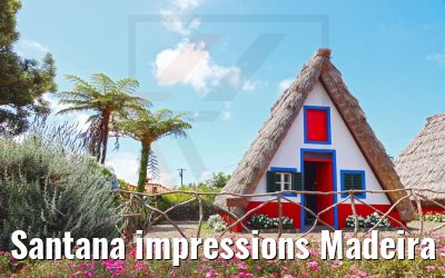 Santana impressions Madeira