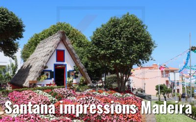 Santana impressions Madeira