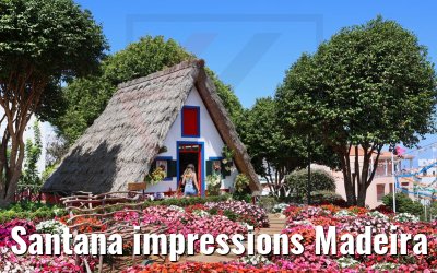 Santana impressions Madeira