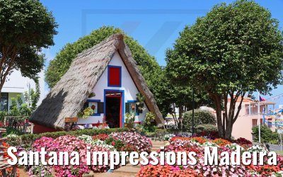 Santana impressions Madeira