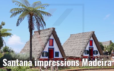 Santana impressions Madeira